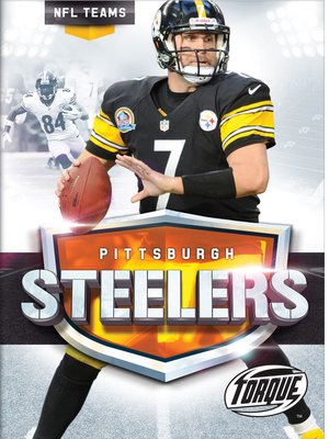 The Pittsburgh Steelers Story - ebook